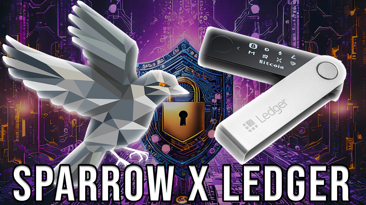 How To Use Ledger With Sparrow Wallet